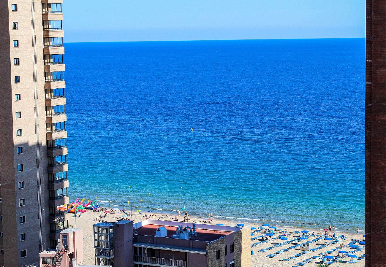 Apartamento en Benidorm - Caballos Premium 16-F