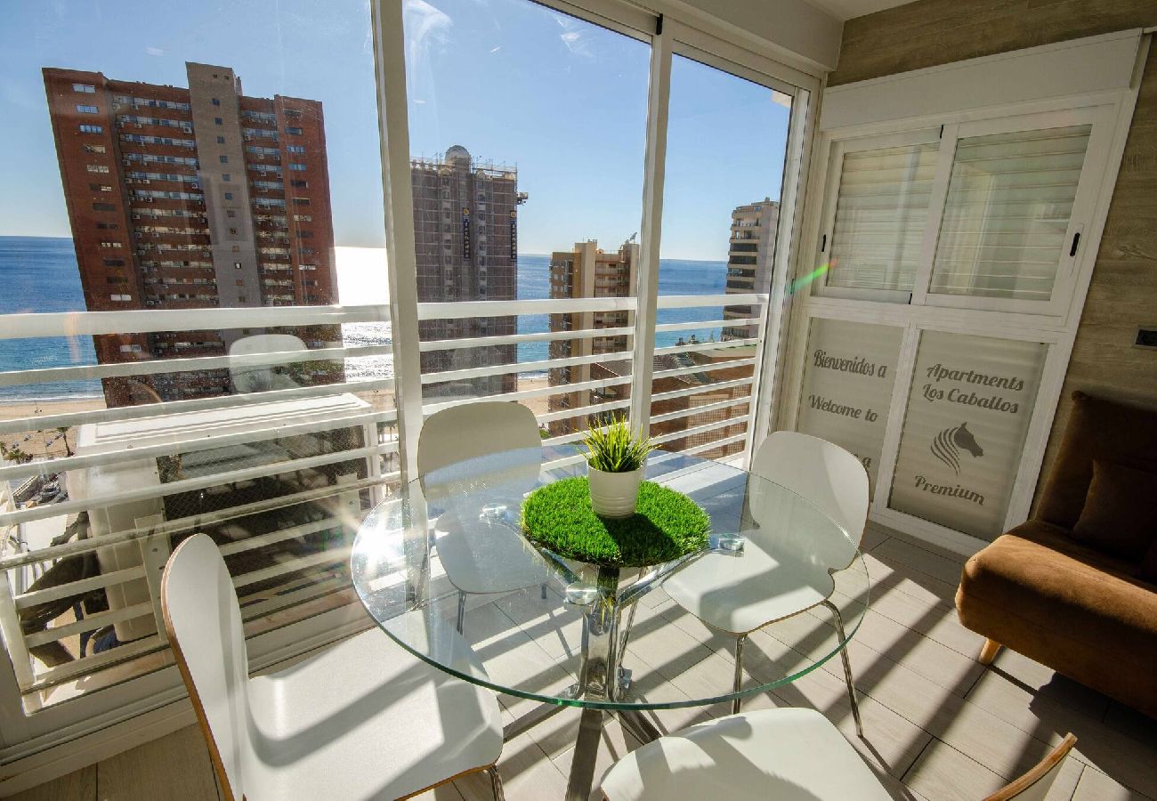 Apartamento en Benidorm - Caballos Premium 16-F
