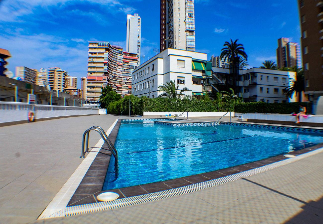 Apartamento en Benidorm - Caballos Premium 16-F