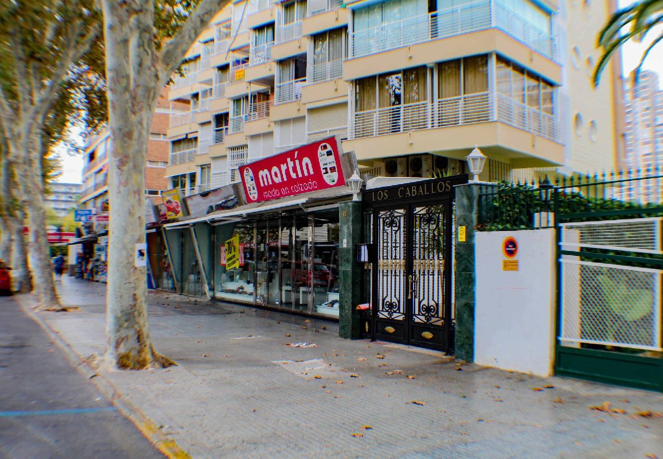 Apartamento en Benidorm - Caballos Premium 16-F