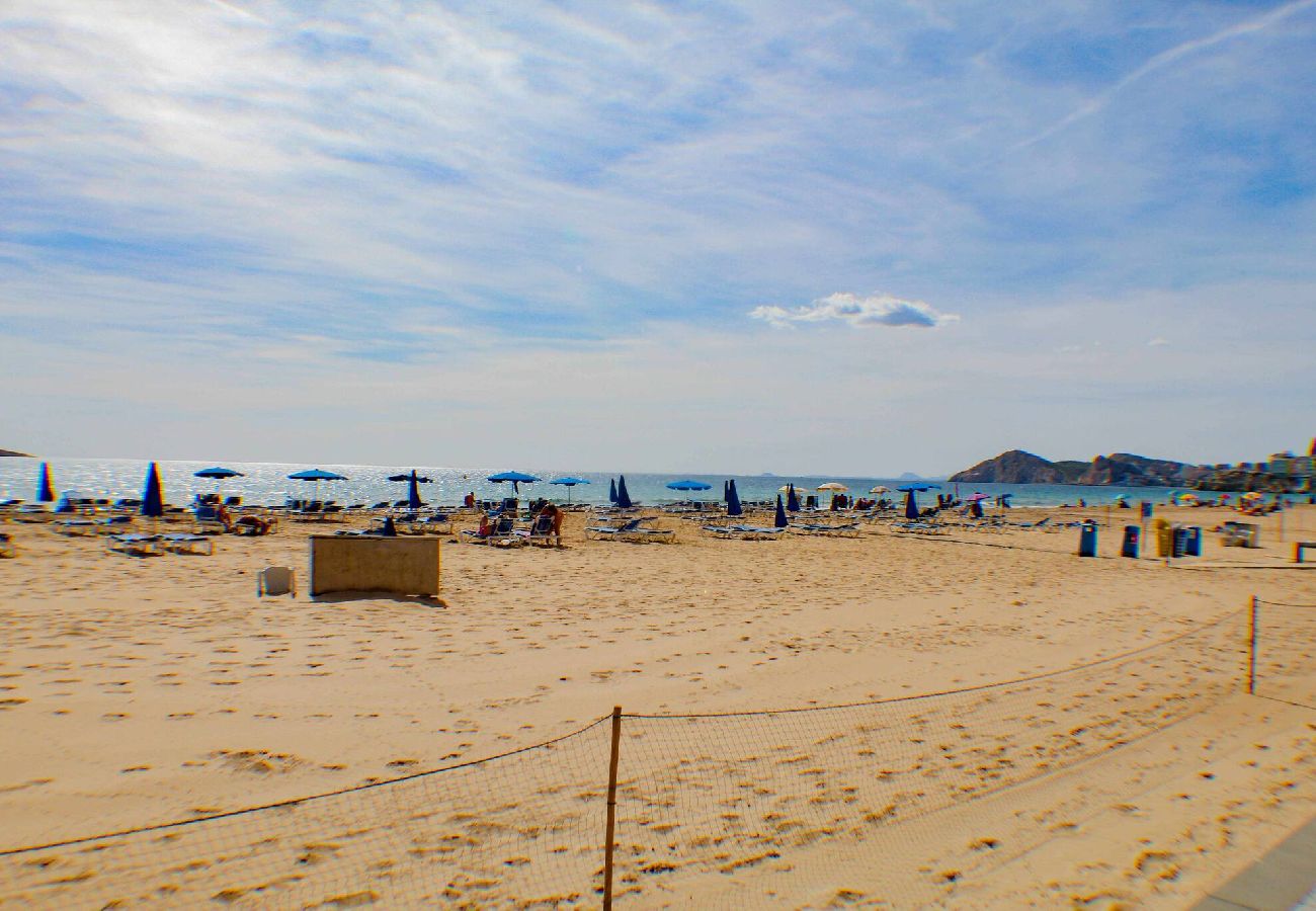 Apartamento en Benidorm - Caballos Premium 16-F