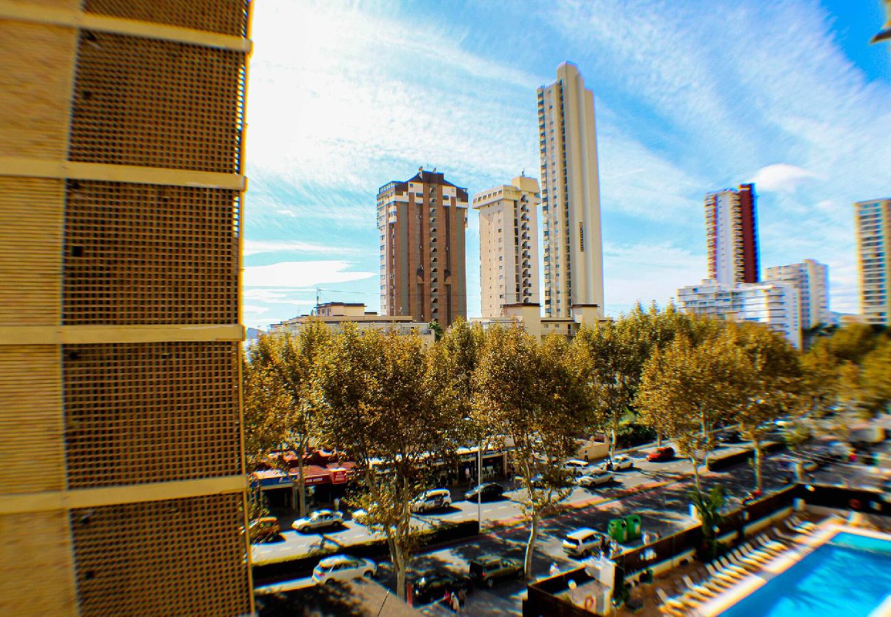 Apartamento en Benidorm - Anna 5A Ambassador 