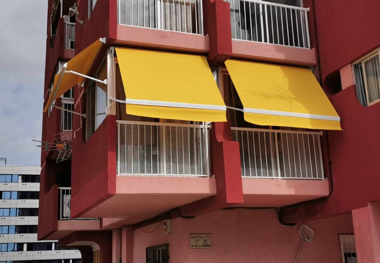 Apartamento en Benidorm - Eva 1-D