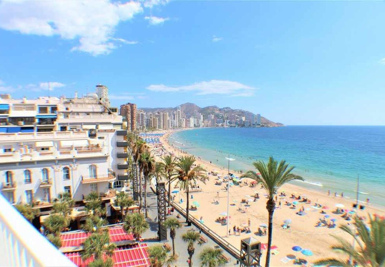 Apartamento en Benidorm - Beach Premium Levante 5B