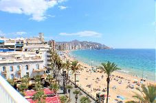 Apartamento en Benidorm - Beach Premium Levante