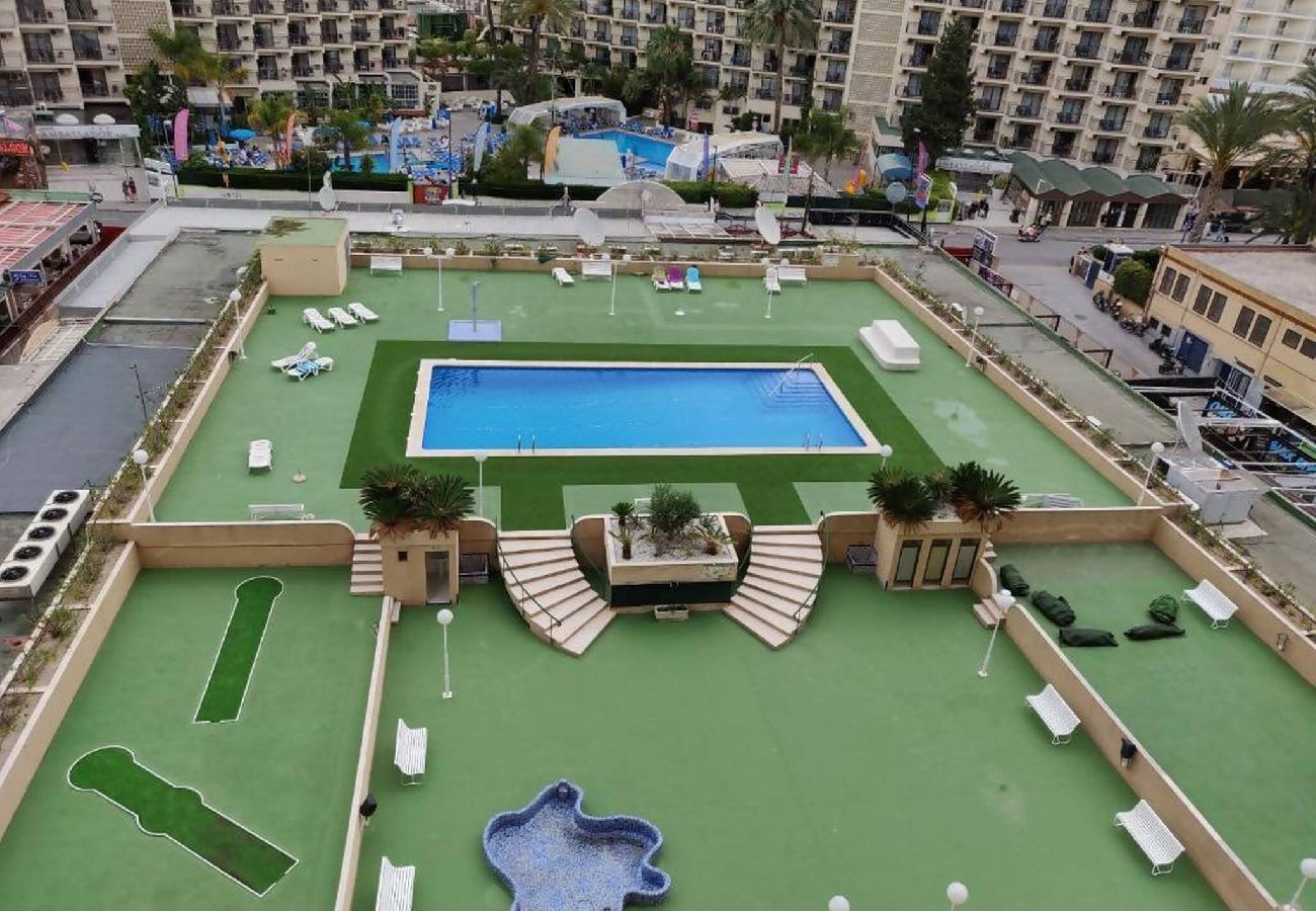 Apartamento en Benidorm - Arena 8 C 