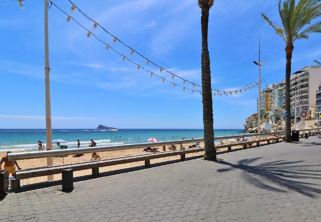 Apartamento en Benidorm - Alameda 31 Centro Beach 1-a