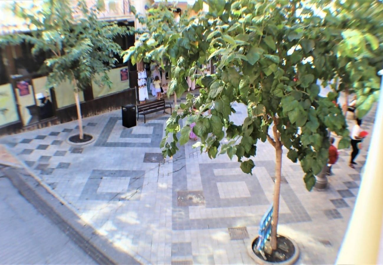 Apartamento en Benidorm - Alameda 31 Centro Beach 1-A