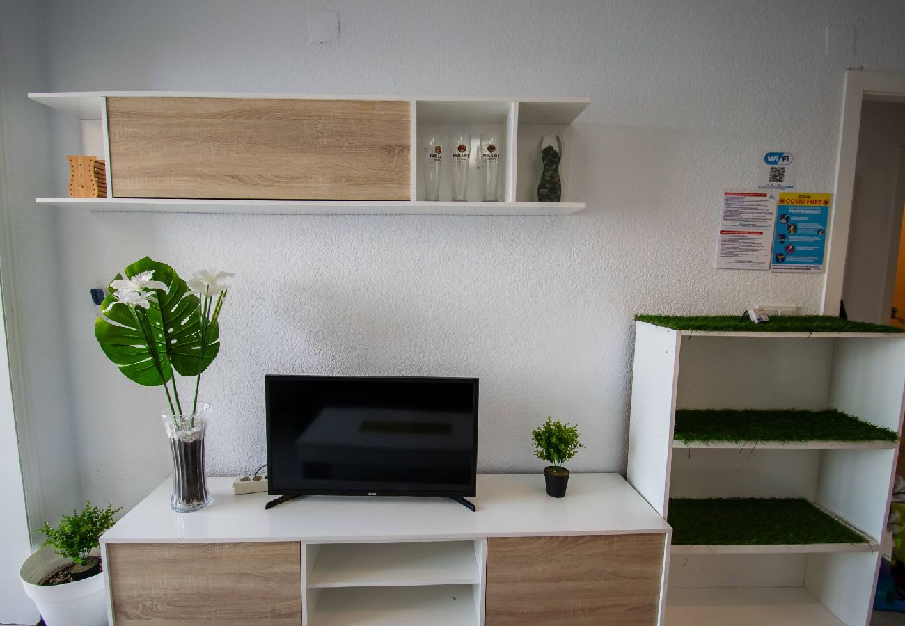 Apartamento en Benidorm - Don miguel II 18-G