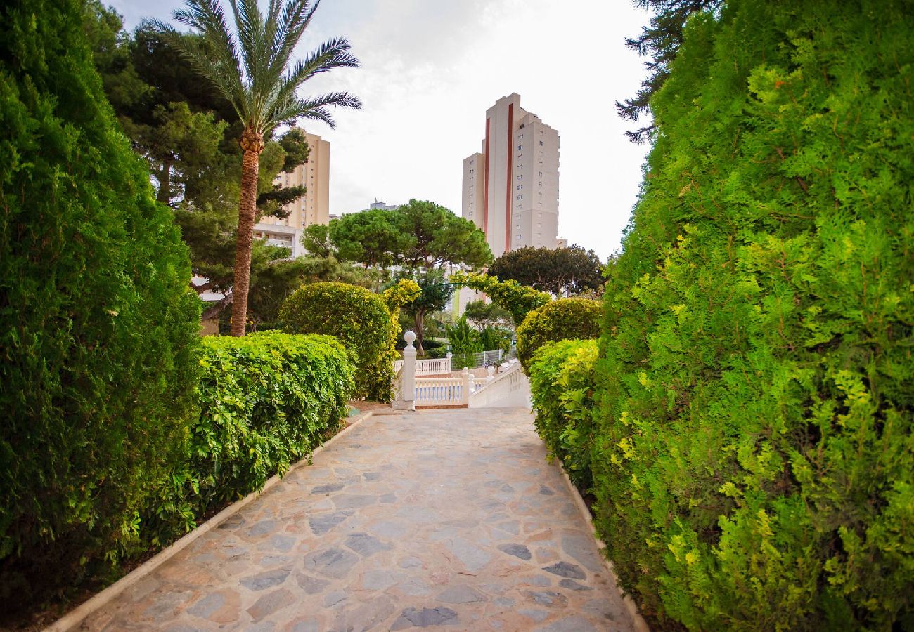 Apartamento en Benidorm - Playmont Park T-C  18-12