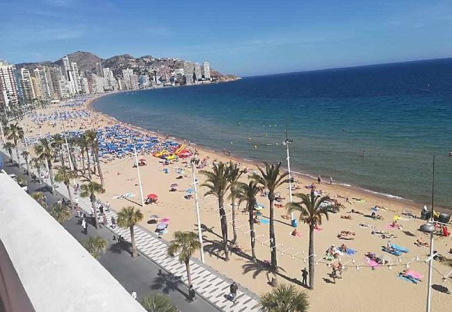 Apartamento en Benidorm - Ronda Levante Center 1 - 1