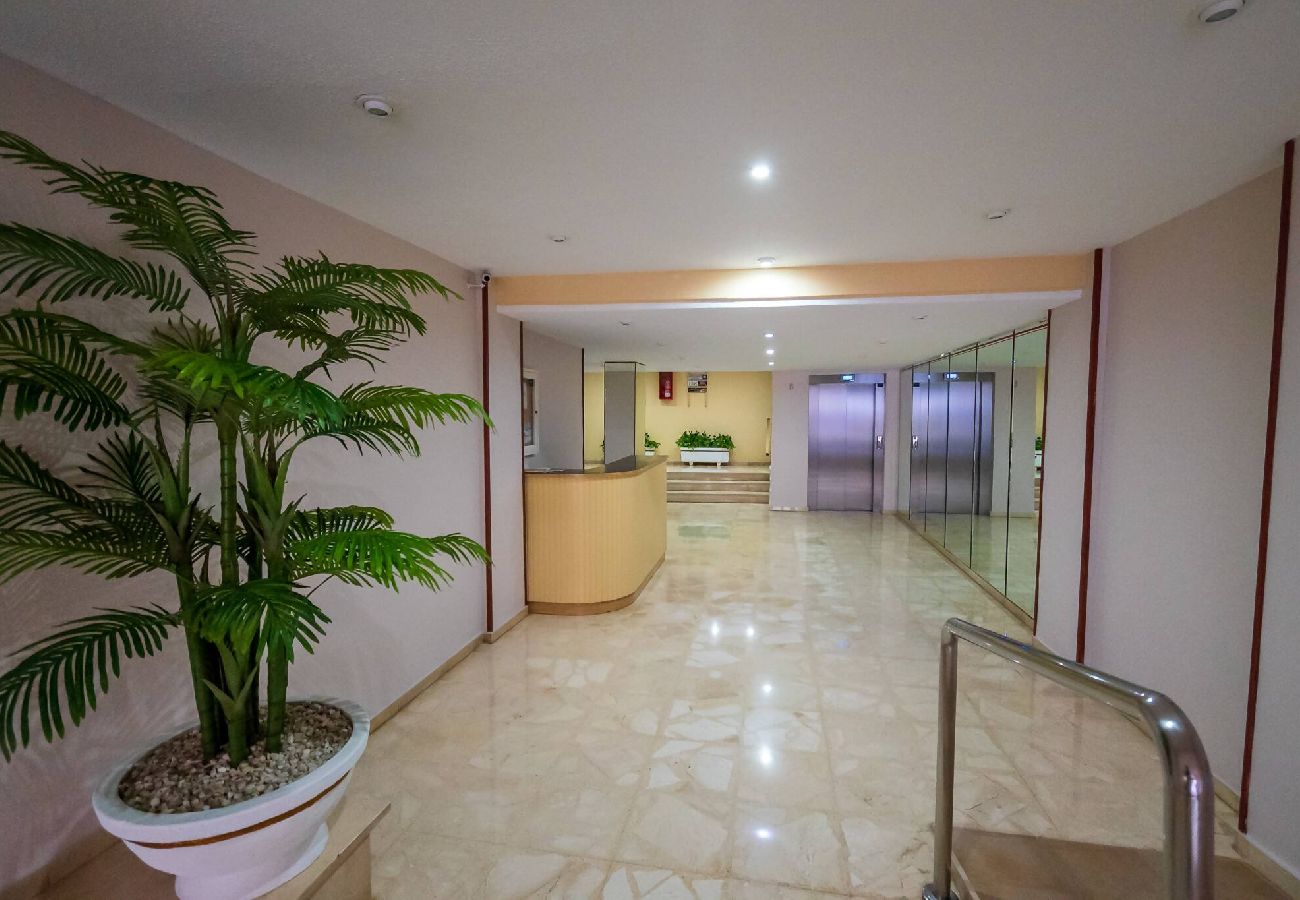 Apartamento en Benidorm - Las Palmas 6-41 A