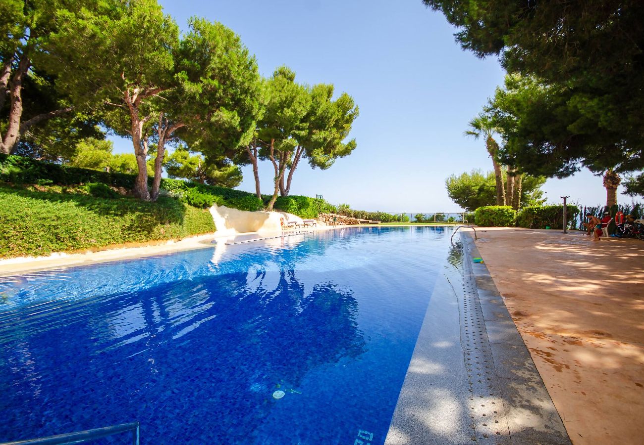 Apartamento en Benidorm - Balcon de Poniente 6C