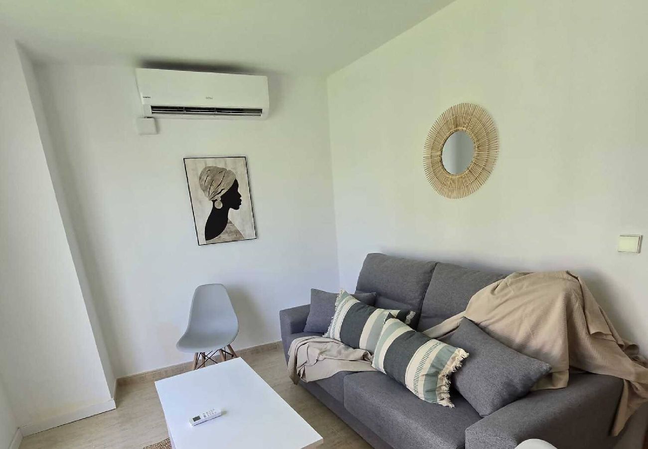 Apartamento en Benidorm - Edificio Alameda Pent-house terraza