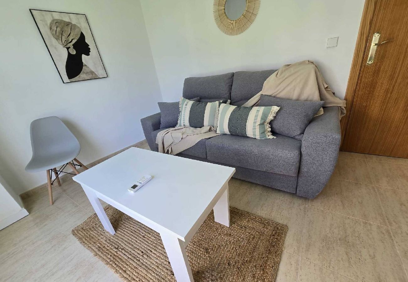 Apartamento en Benidorm - Edificio Alameda Pent-house terraza