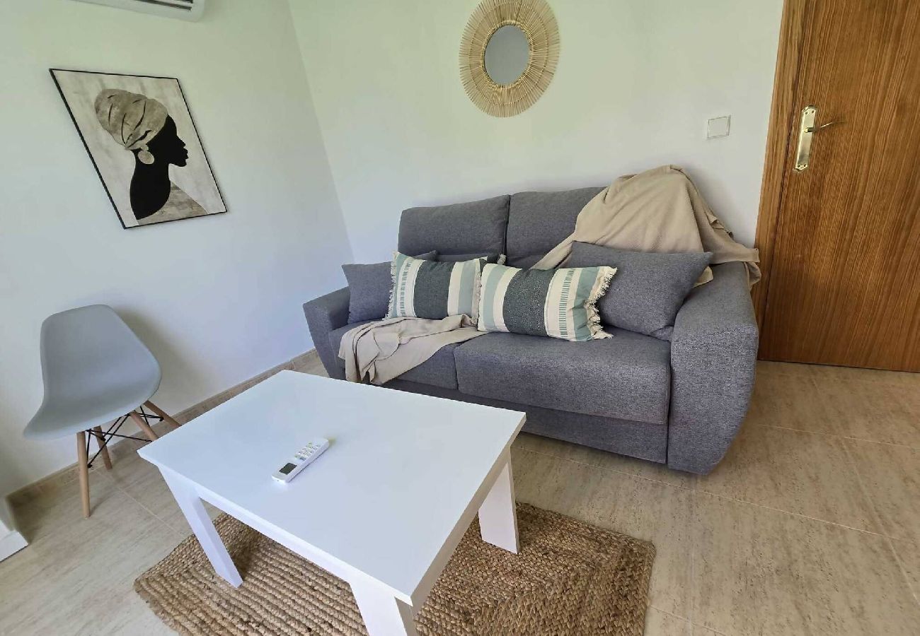 Apartamento en Benidorm - Edificio Alameda Pent-house terraza