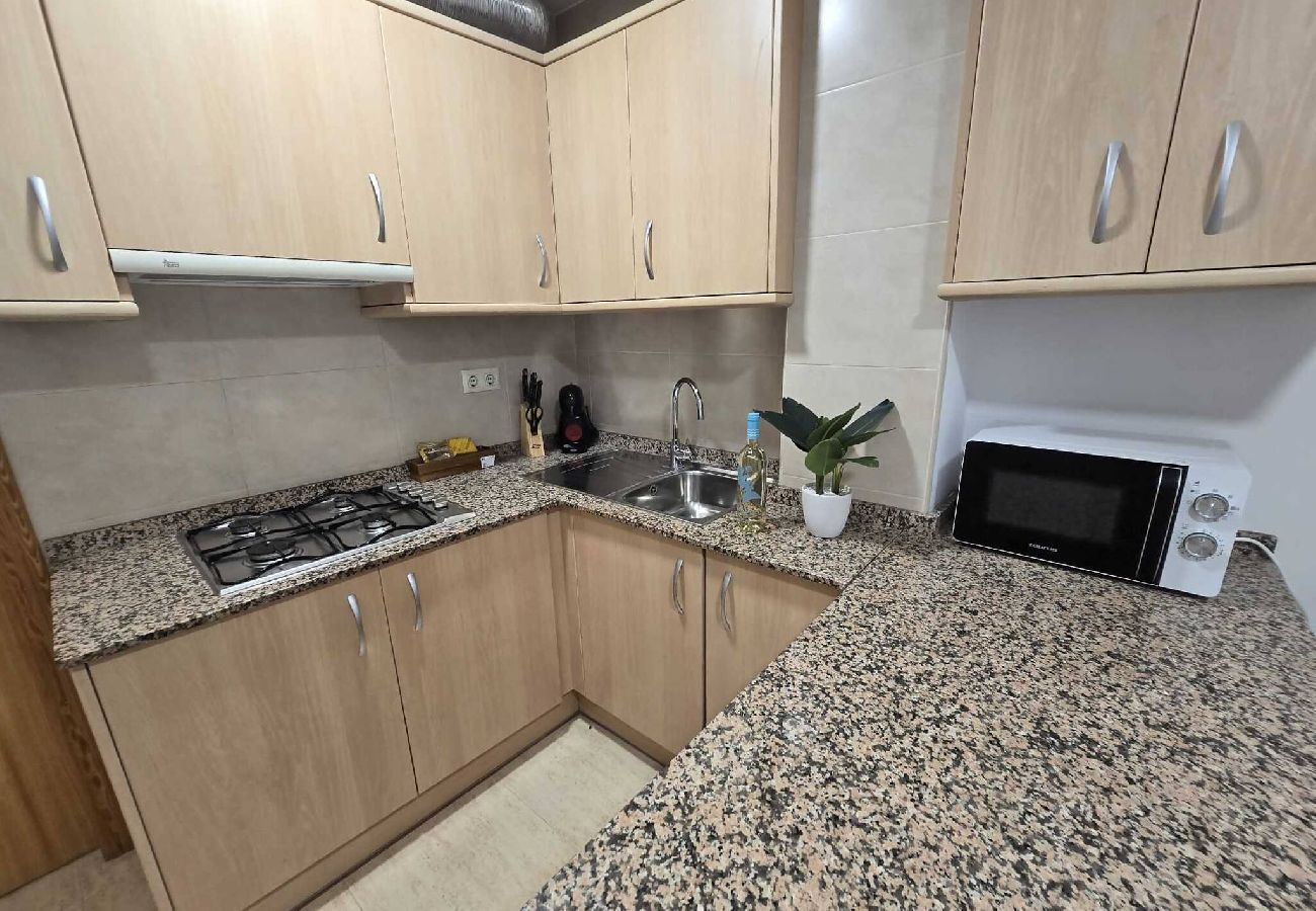 Apartamento en Benidorm - Edificio Alameda Pent-house terraza