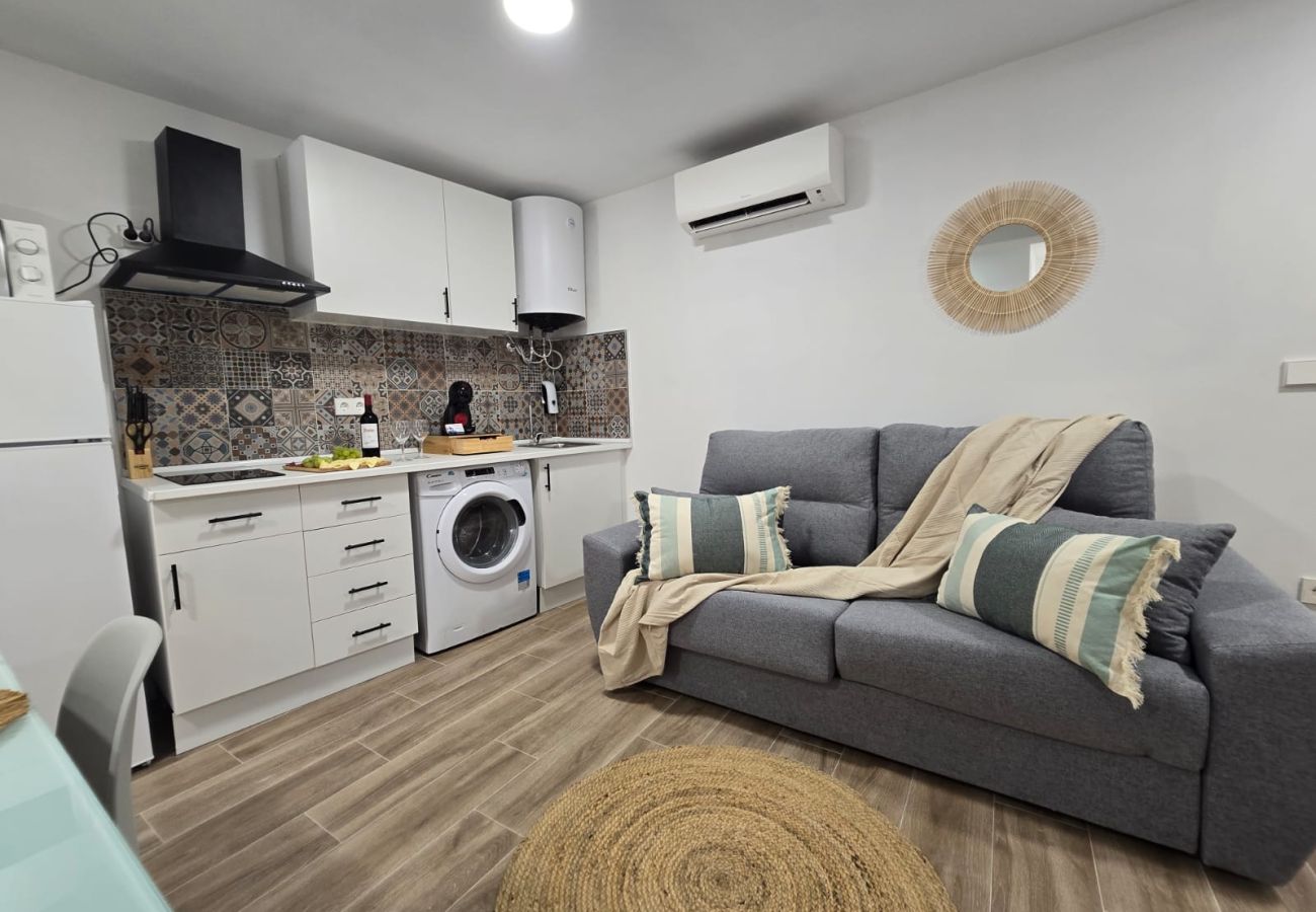 Apartamento en Benidorm - Edificio Alameda Pent-House/Terraza