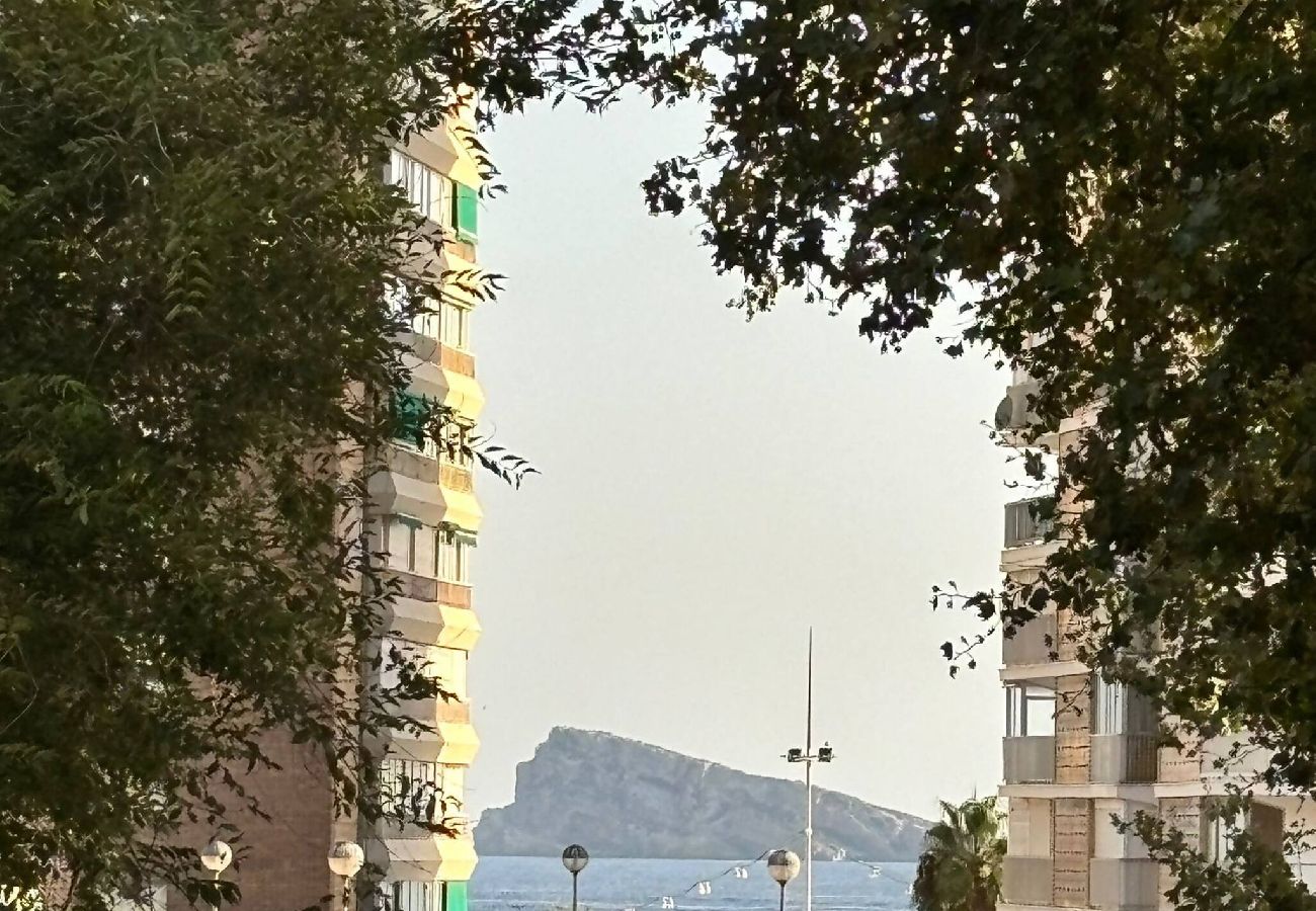 Apartamento en Benidorm - Luxury Family 2-5