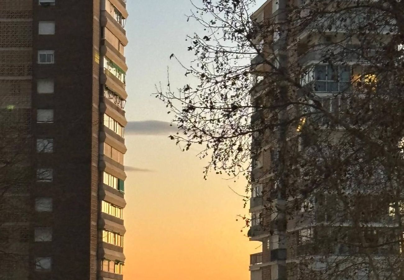 Apartamento en Benidorm - Luxury Family 2-5