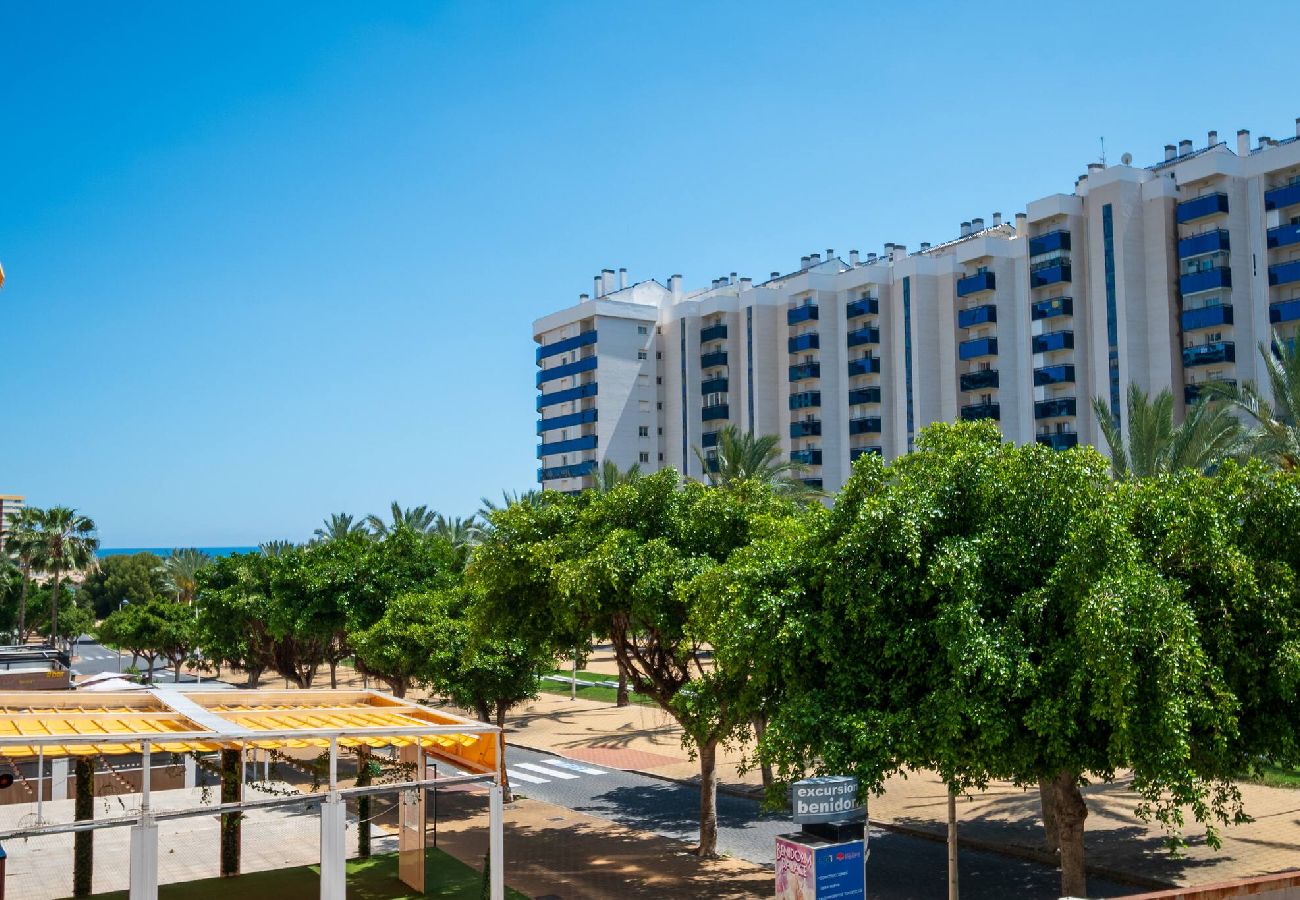 Apartamento en Benidorm - Gemelos 24 1-C