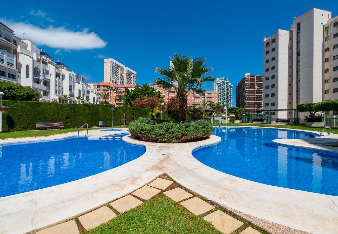 Apartamento en Benidorm - Gemelos 24 1-C