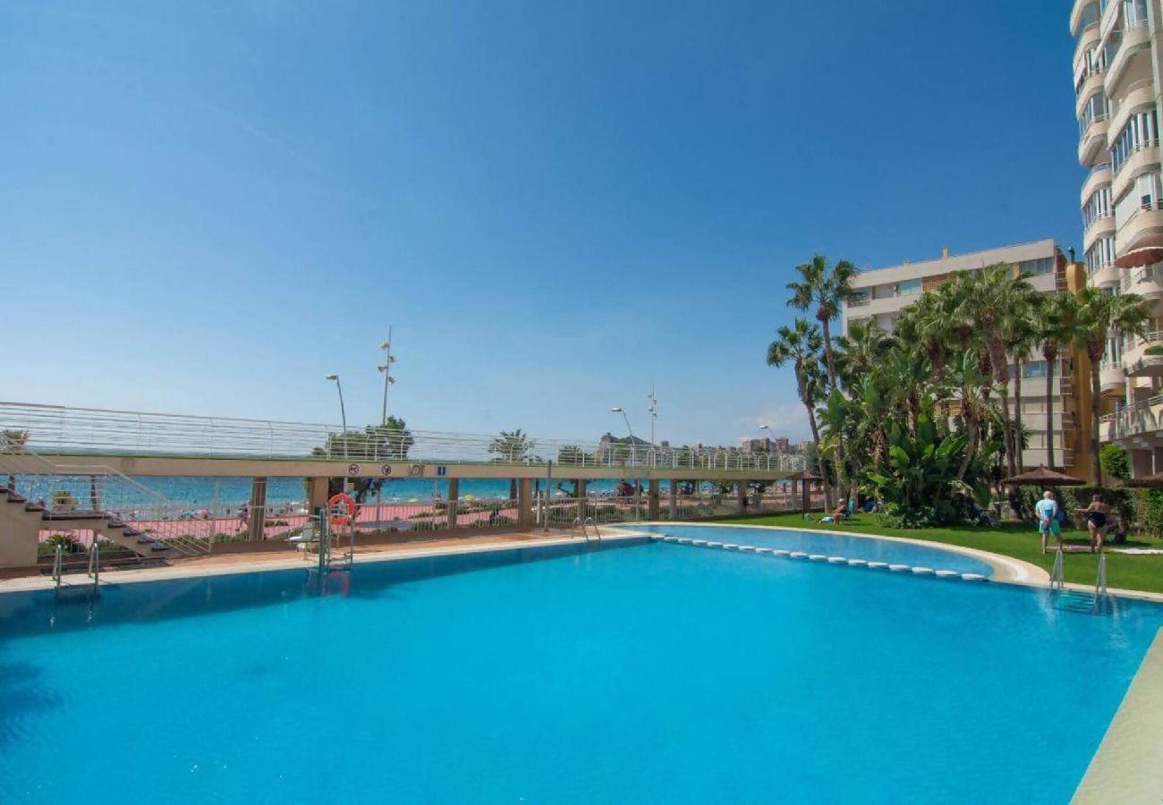 Apartamento en Benidorm - Olivar T2 24-C Poniente 