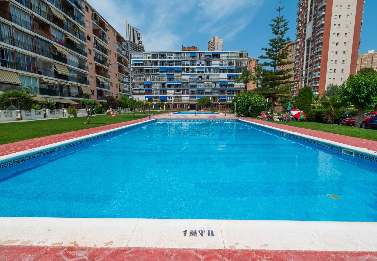Apartamento en Benidorm - Hanibal Bajo B