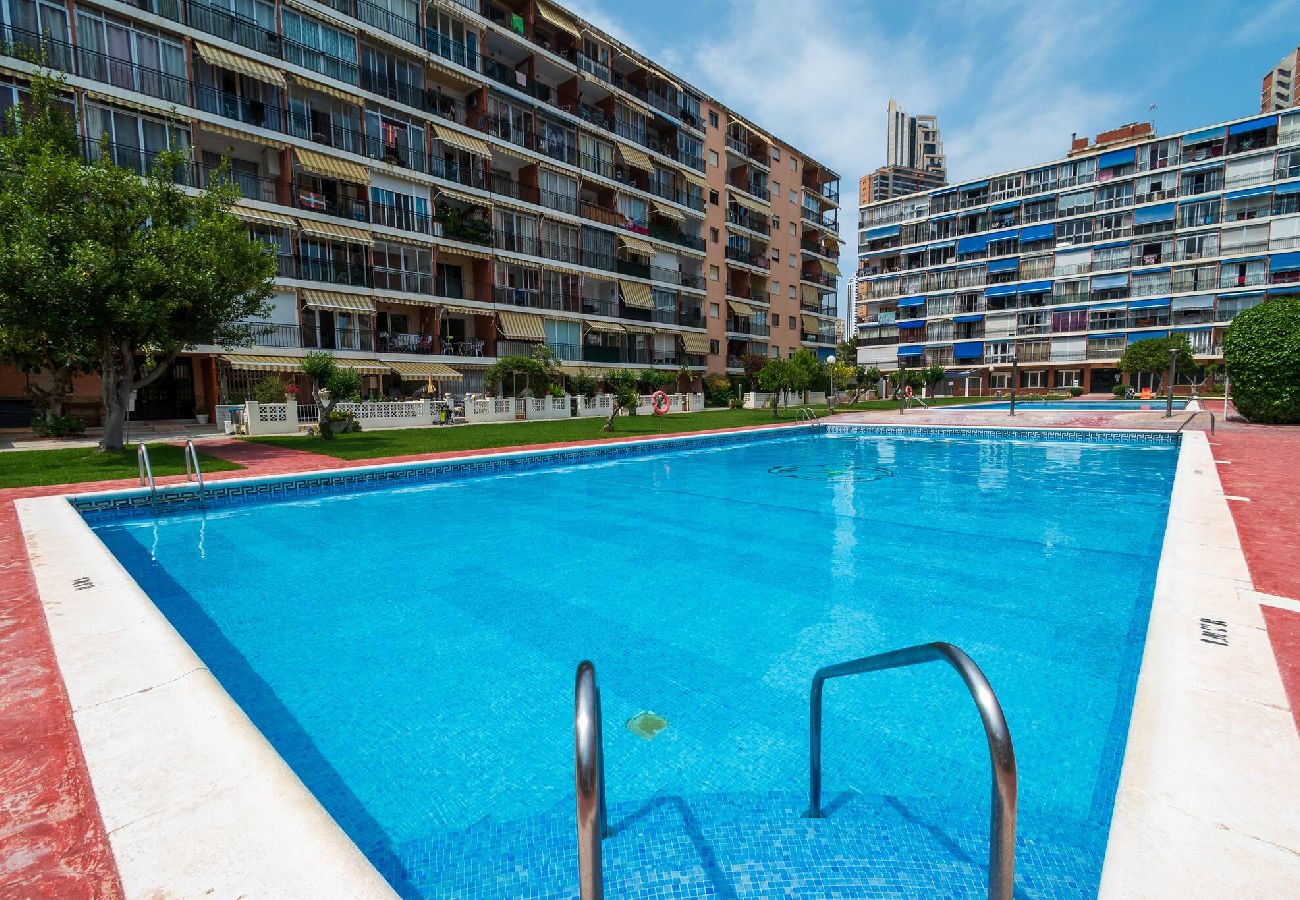 Apartamento en Benidorm - Hanibal Bajo B
