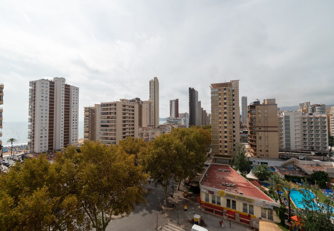 Apartamento en Benidorm - COBLANCA 3 8.5