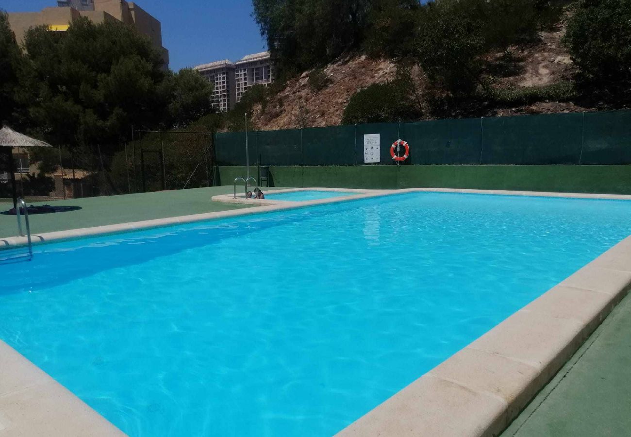 Apartamento en Benidorm - Cala Don Miguel 13-C