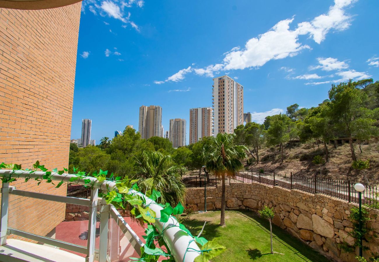 Apartamento en Benidorm - Jardines Benidorm T2 1-2