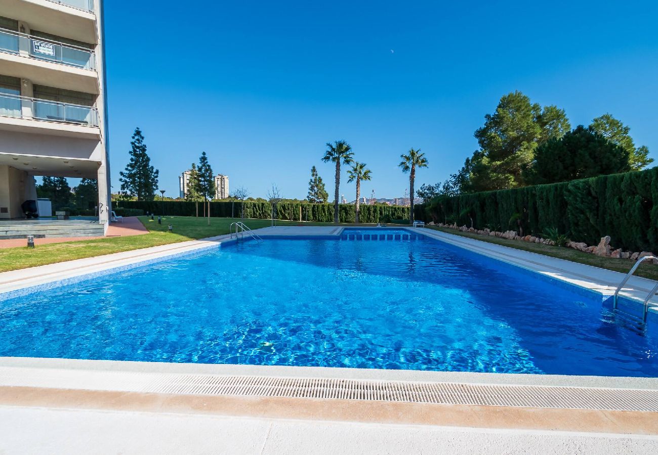 Apartamento en Benidorm - Torre Pinar 18-B