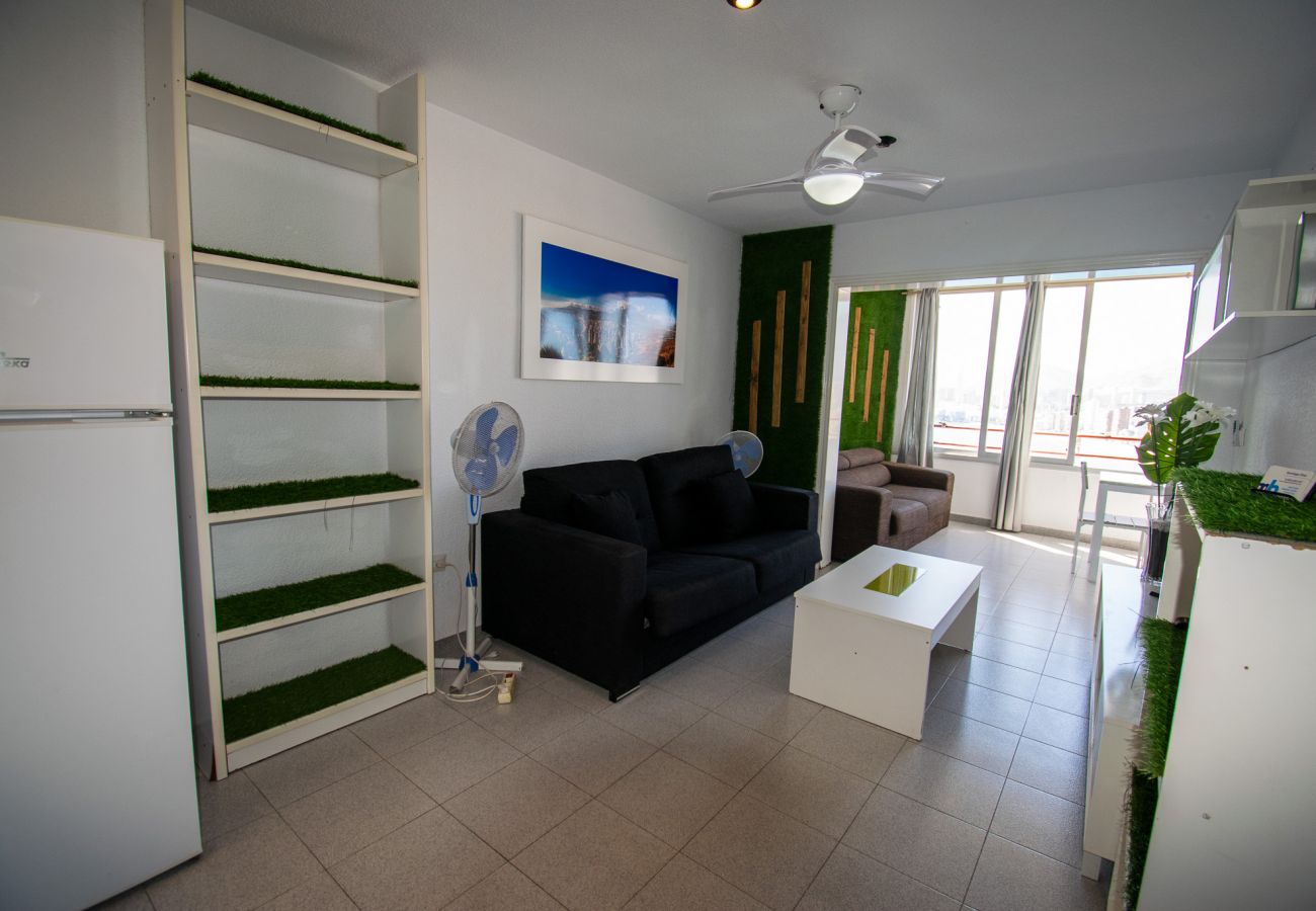 Apartamento en Benidorm - Don Miguel II 7-A