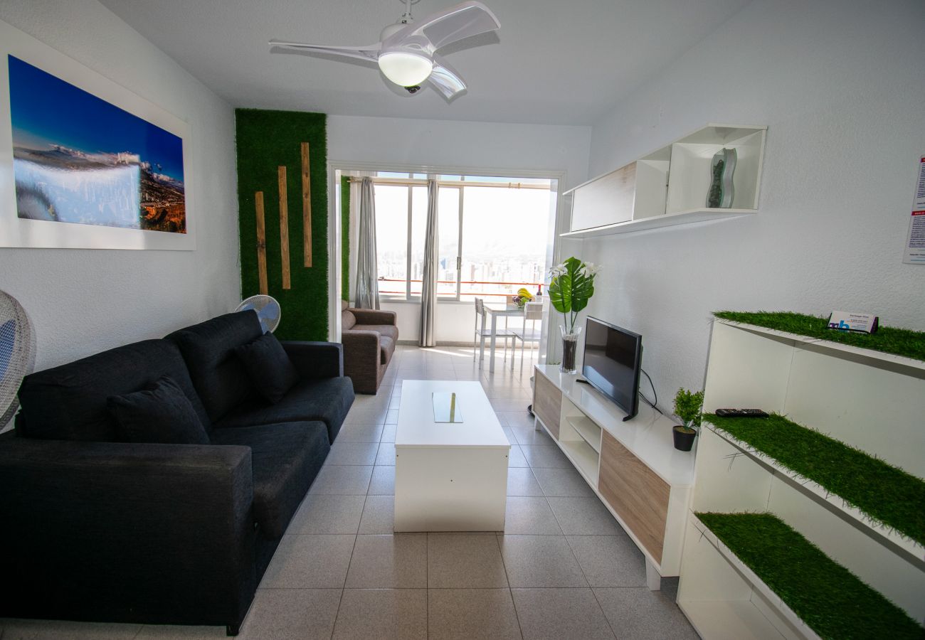 Apartamento en Benidorm - Don Miguel II 7-A