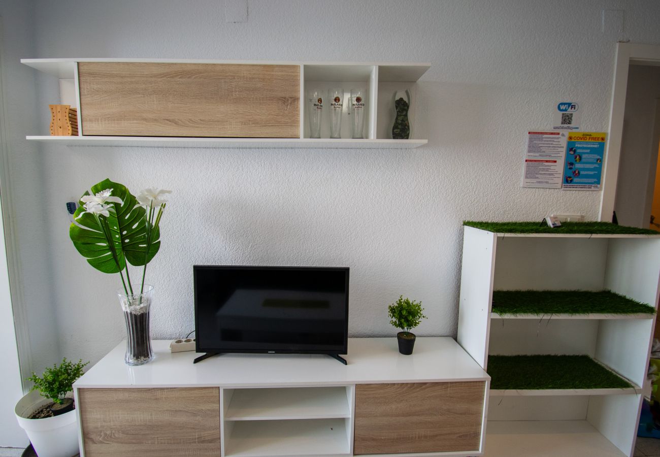 Apartamento en Benidorm - Don Miguel II 7-A