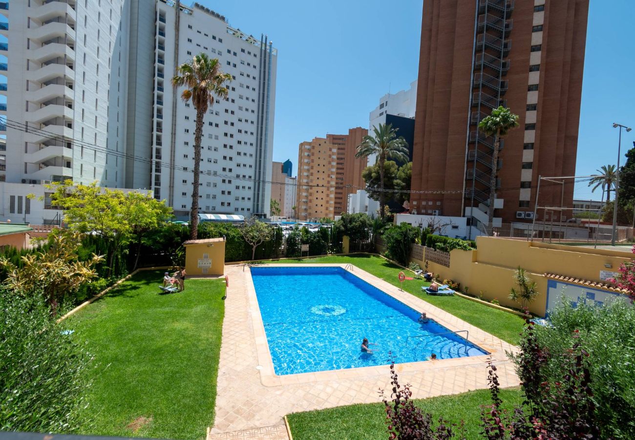 Apartamento en Benidorm - ACACIAS IV